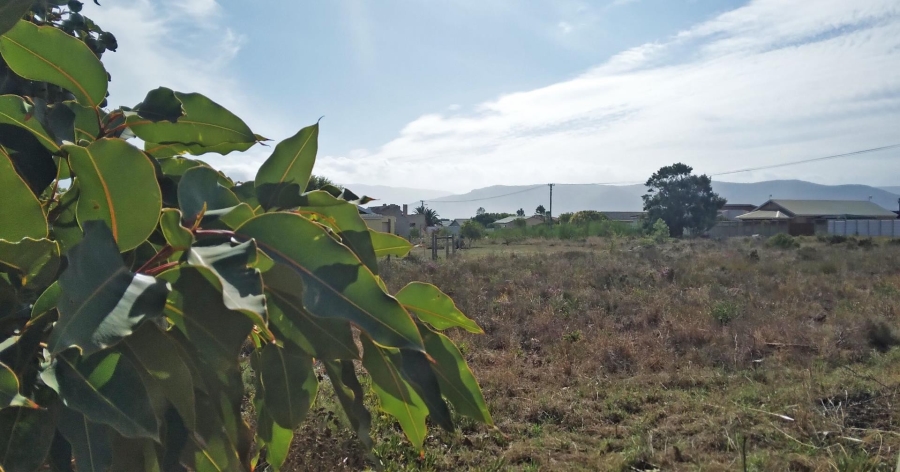 0 Bedroom Property for Sale in Fisherhaven Western Cape